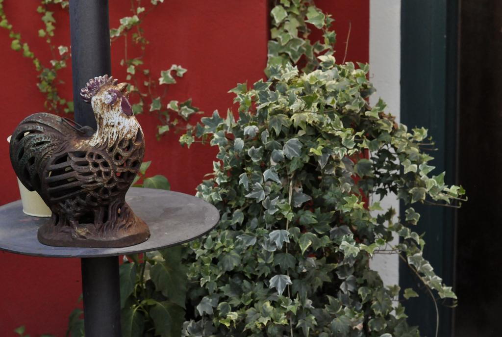 Castagnole Piemonte B&B Edera المظهر الخارجي الصورة